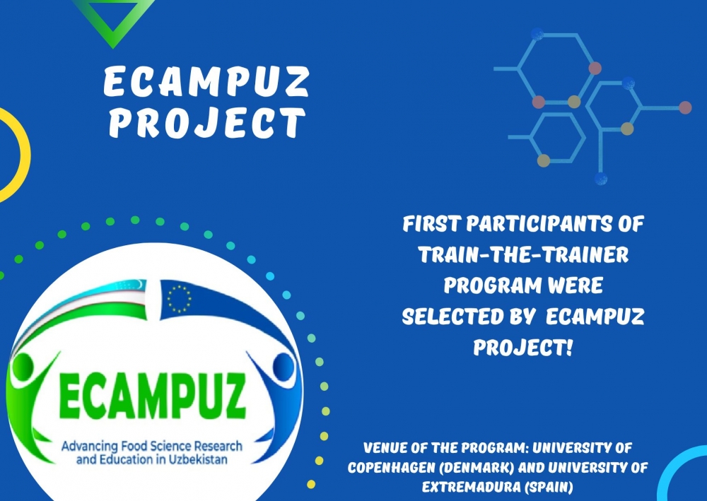 The online interview for the train-the-trainer program under the Erasmus+ CBHE ECAMPUZ project