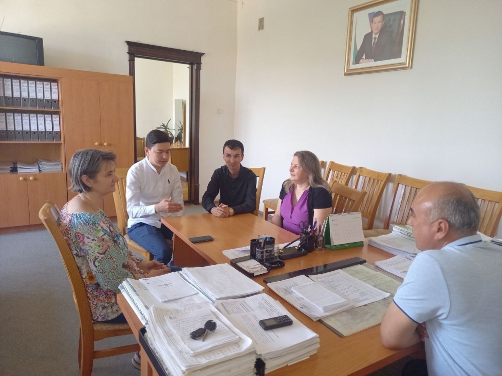 Professors of Romanian-American University have come to Uzbekistan
